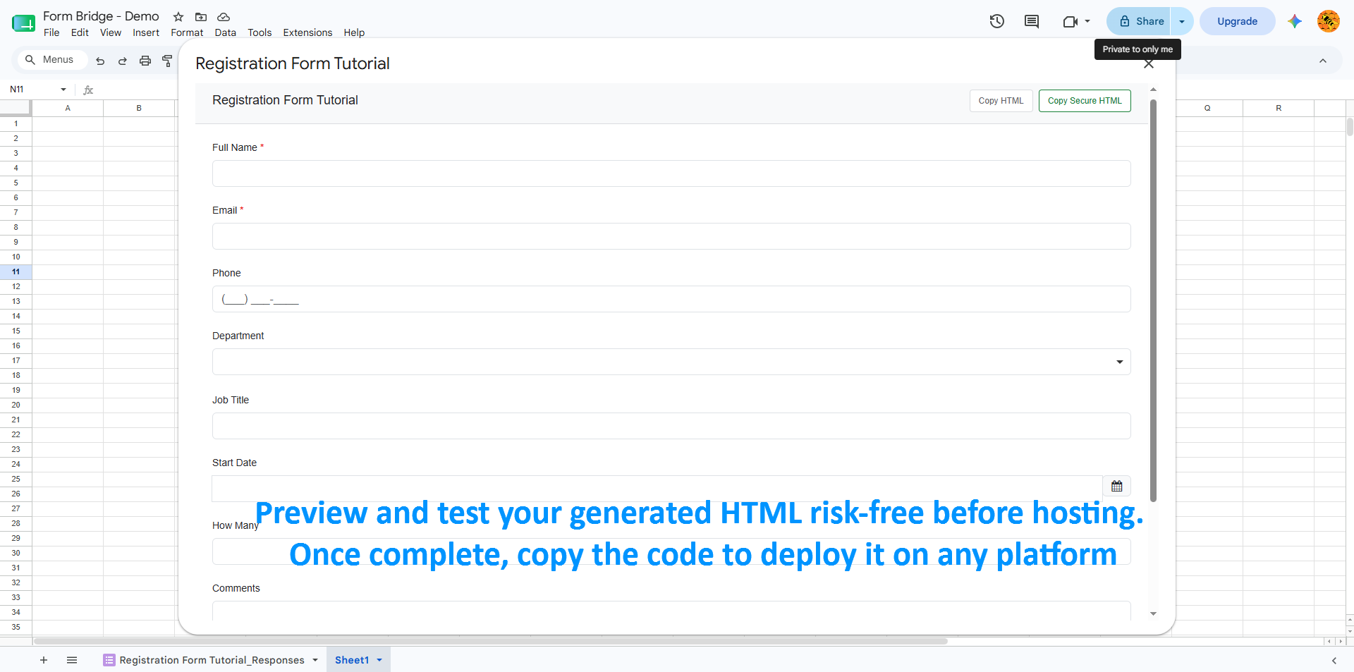 Customizable submission template rendered from the schema